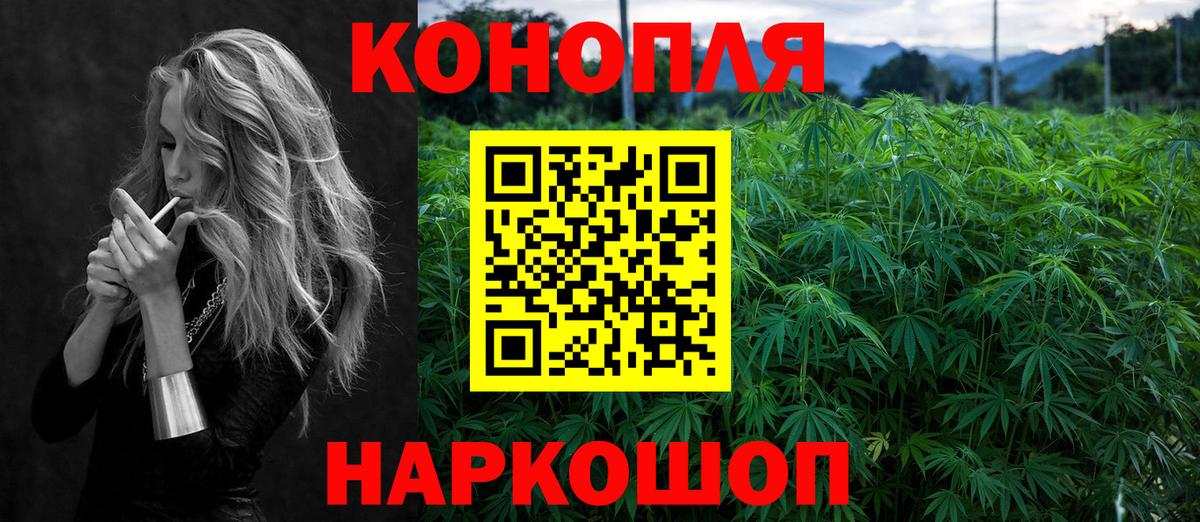 Конопля планчик  Канабис OG Kush  Пятигорск  Конопля White Widow  Шишки марихуана конопля  Вход с VPN 